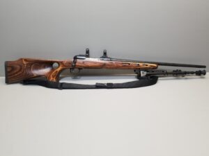 Savage Model 11