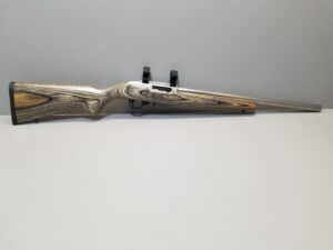 Ruger 10/22