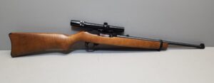 Ruger 10/22