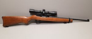 Ruger 10/22